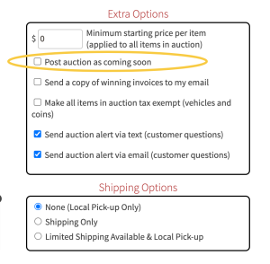 Auction Sale Conditions Understanding and Essentials