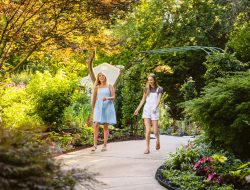 Overland Park Ks Botanical Gardens A Serene Escape