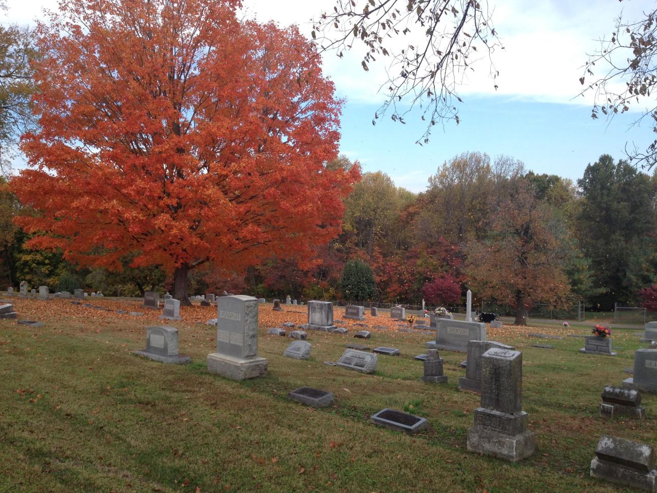 Cemeteries | Springfield, TN - Official Website