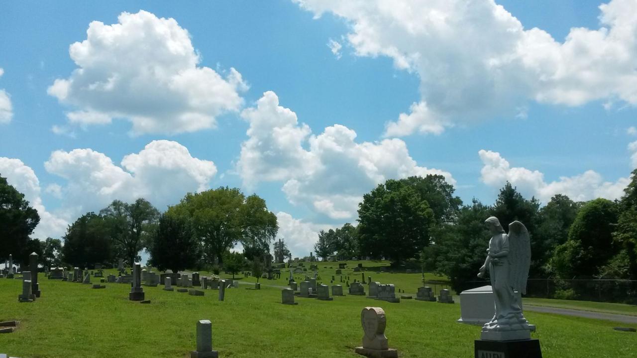 Springfield Gardens – Inlivian Springfield Gardens – Inlivian