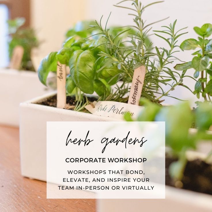 Gardening Workshop - Western Sydney Mums