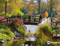 Wellfield Gardens A Serene Retreat in Nature