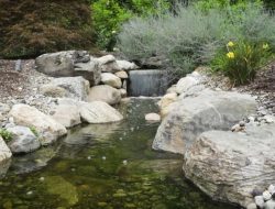 Blissful Gardens Where Nature And Serenity Unite