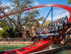 Busch Gardens Tampa A Thrilling Adventure Awaits