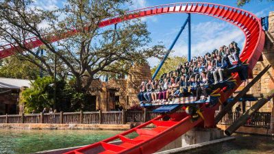 Busch Gardens Tampa A Thrilling Adventure Awaits