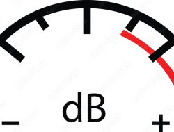 decibel gardens Exploring the World of Translation