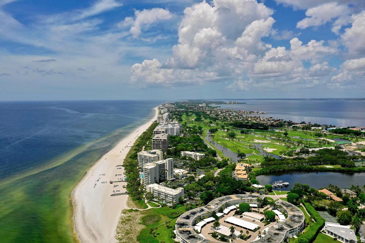 What to Know Before You Go to Florida