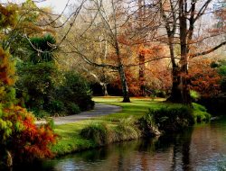 gardens nashville Exploring the Beauty of Local Gardens