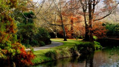 gardens nashville Exploring the Beauty of Local Gardens