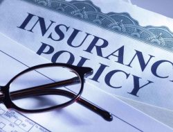 Insurance vehicle insurance made easy for everyone