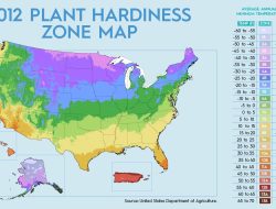 Gardening Cultivates Beauty and Sustainability