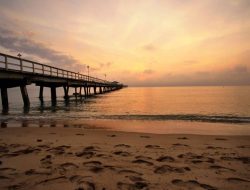 Pacific Gardens Mission A Journey in Translation