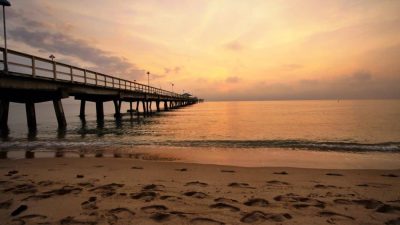 Pacific Gardens Mission A Journey in Translation