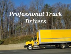 Movers And Storage Nyc Simplified Solutions For Moving