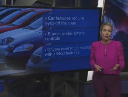 Vehicle Car Insurance Essential Coverage Insights