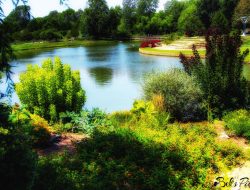 Botanical Gardens Overland Park A Haven Of Beauty