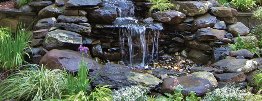 Amarillo Botanical Gardens | Entry Court