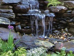 Coulter Gardens A Serene Escape Into Natures Beauty