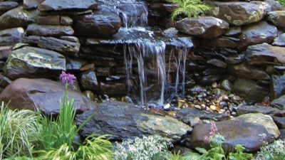 Our Gardens — Gold Feather Gardens