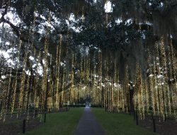 Brookgreen Gardens A Captivating Natural Escape