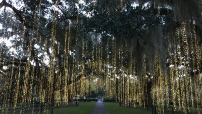 Brookgreen gardens