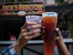 busch gardens tampa bay Adventure Awaits for All