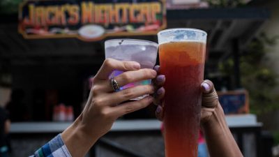 busch gardens tampa bay Adventure Awaits for All