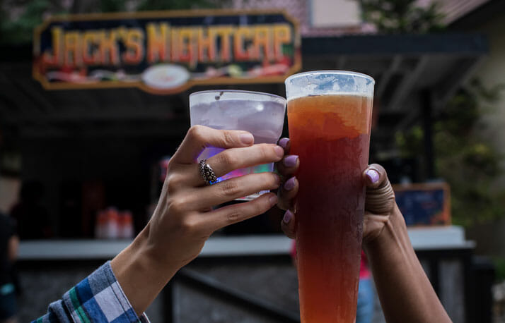 Busch gardens tampa bay