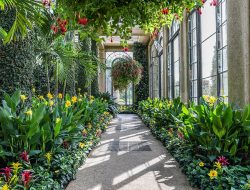 Longwood Gardens Admission Fee For A Beautiful Visit