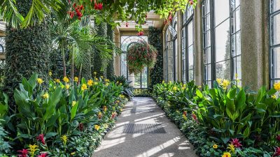 Longwood Gardens Admission Ticket - Klook