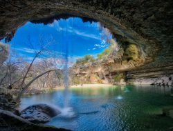 austin gardeners Cultivating Green Spaces Together