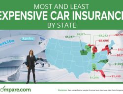 Compare Motor Vehicle Insurance For Better Choices