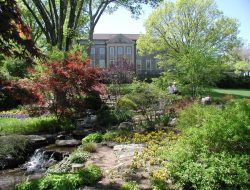 cheekwood gardens in nashville A Serene Escape into Nature