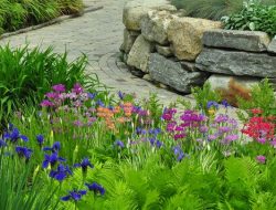 Botanical Gardens In New England A Vibrant Exploration