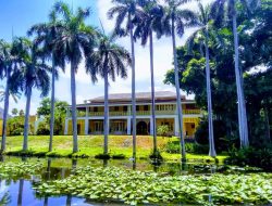Bonnet House Museum and Gardens A Timeless Treasure
