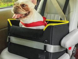 Auto Storage Near Me The Ultimate Guide To Options