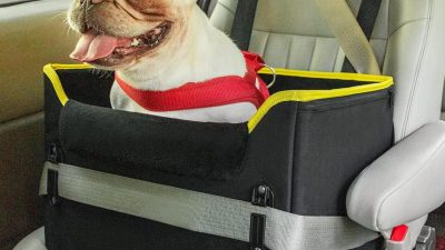 19827 45 Street SE, Calgary, AB T3M 4B5 Townhouse For Sale | RE/MAX ...