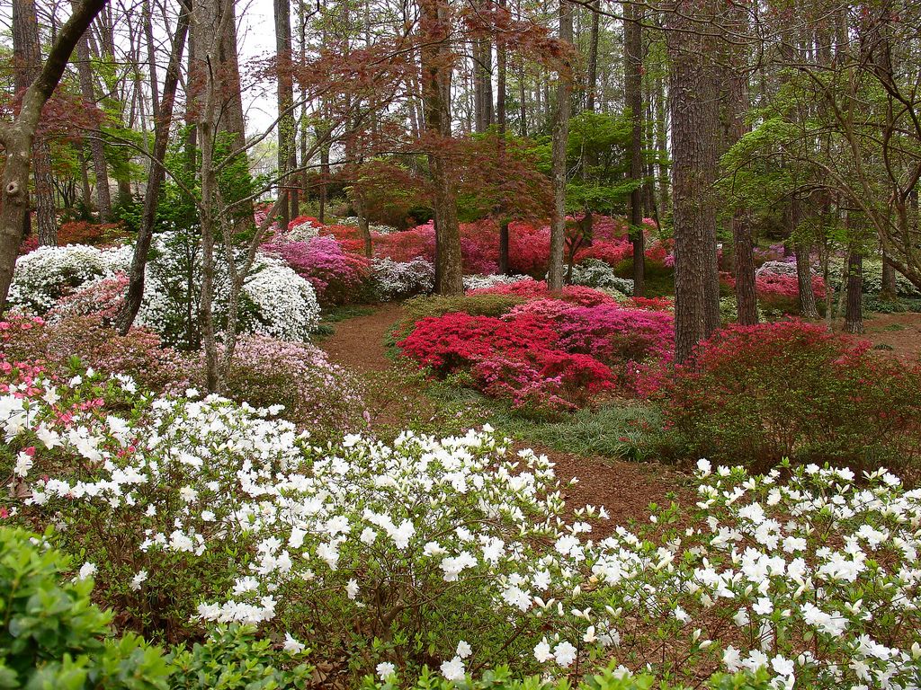 CALLAWAY GARDENS – America’s Golfing Couple