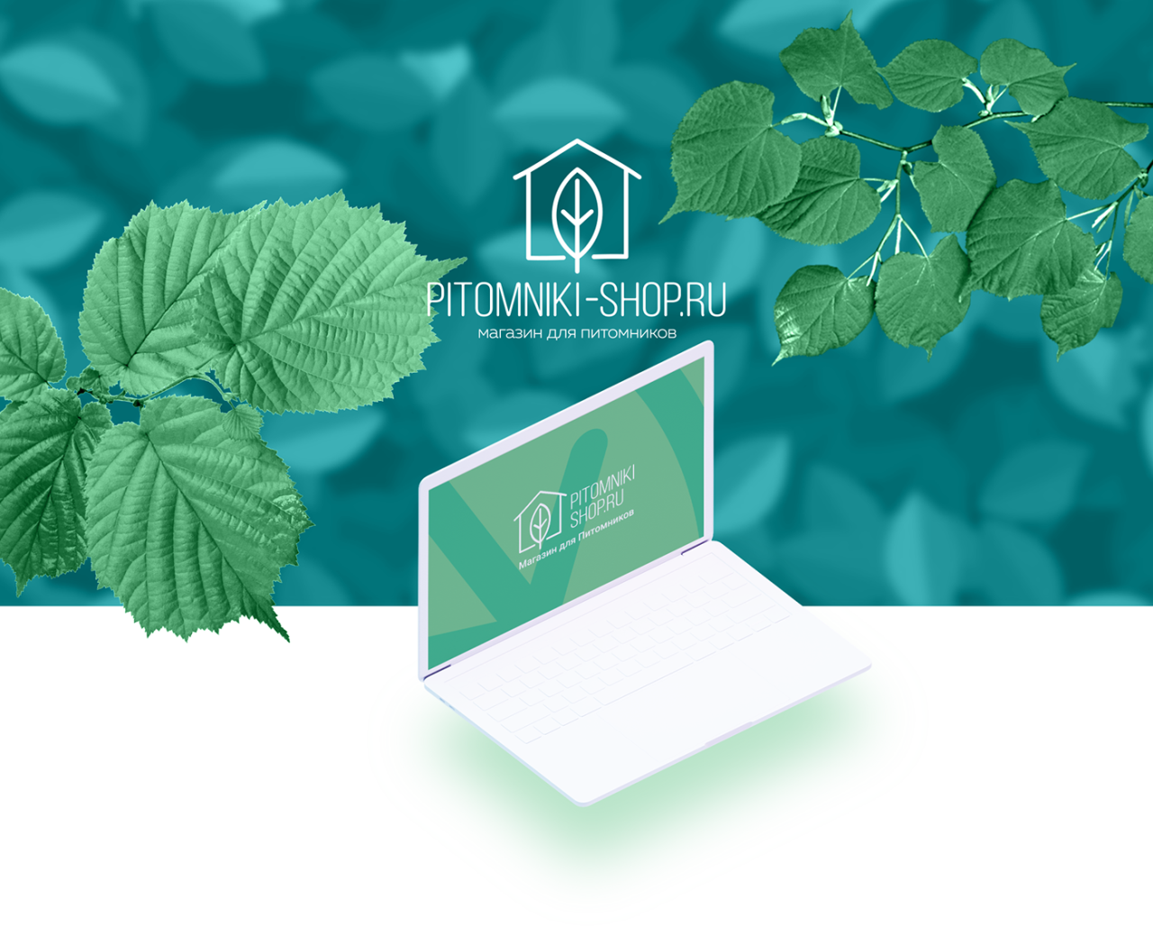 2019 In the Garden Mailer and Coupon 1 – In The Garden Greenhouses