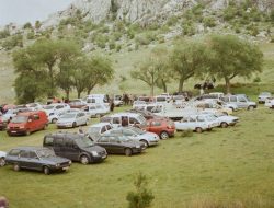 Vehicle business insurance essential coverage explained