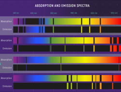 Spectrum Pursuit Vehicle In The Realm Of Translation