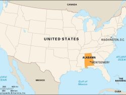 Alabama vehicle insurance essential guide for drivers