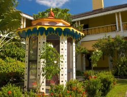 Bonnet House Museum & Gardens Fort Lauderdale Experience