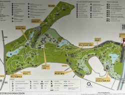 Botanic Gardens Exploring Natures Living Art