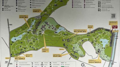 AddToInstrumentHistory | EEZ