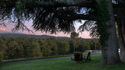 Knoxville | UT Gardens - The State Botanical Garden of Tennessee