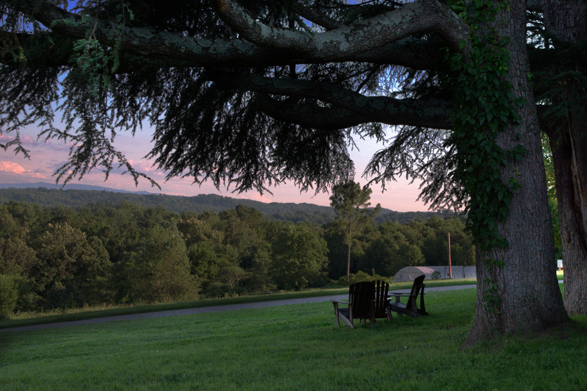 Knoxville | UT Gardens - The State Botanical Garden of Tennessee