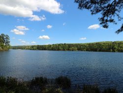 Callaway Gardens A Natural Paradise For All