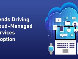 Managed cloud computing services for modern needs