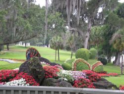 Cypress Gardens A Serene Escape Into Natures Beauty